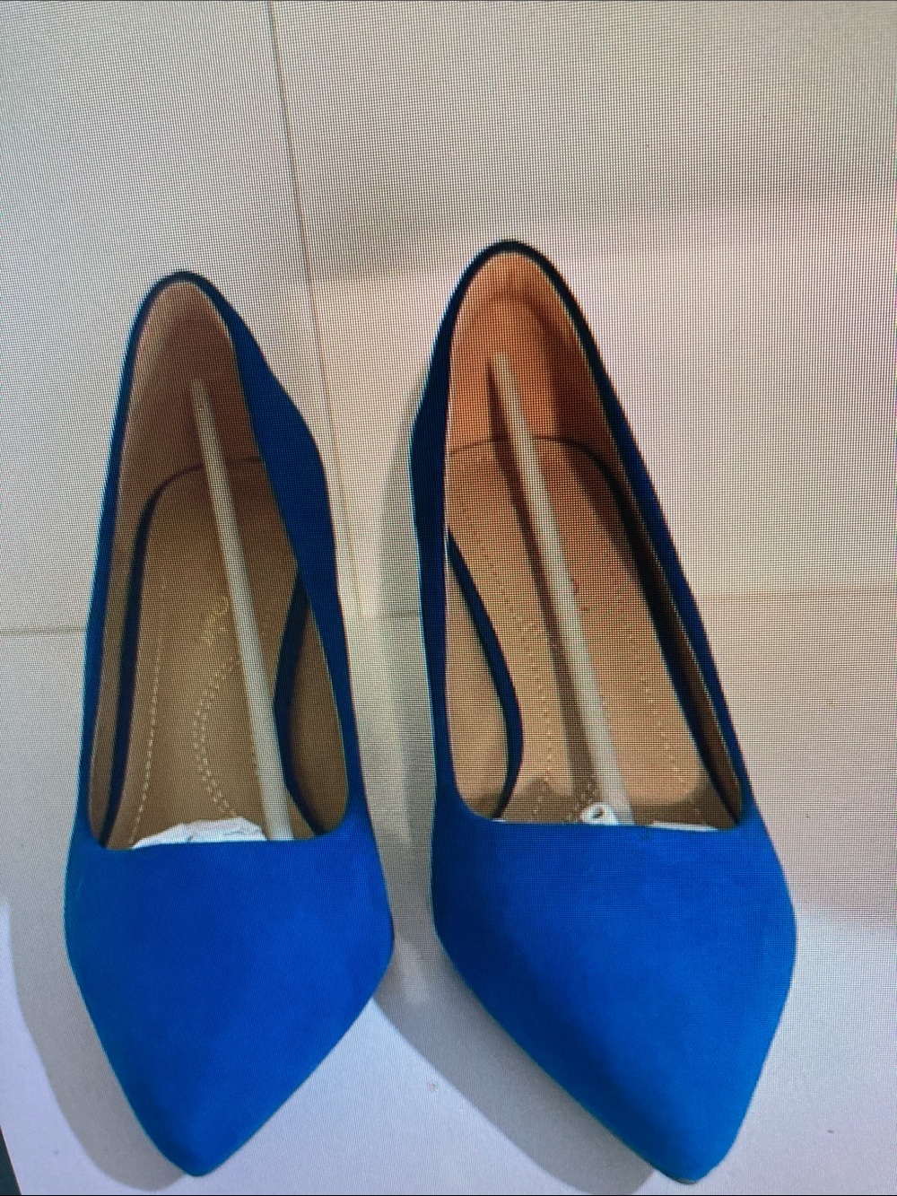 Women’s Royal Blue Pointed-Toe Pumps